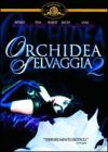 Orchidea Selvaggia 2