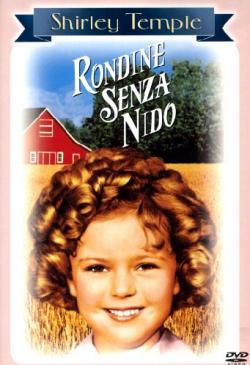Rondine Senza Nido