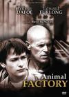 ANIMAL FACTORY  - dvd