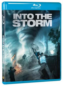 INTO THE STORM (BS)