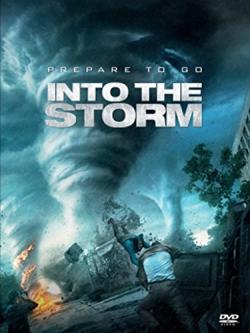 INTO THE STORM (DS)