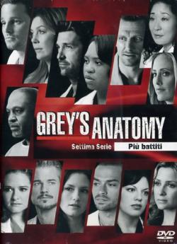 GREY'S ANATOMY Stagione 7 (6 DVD)