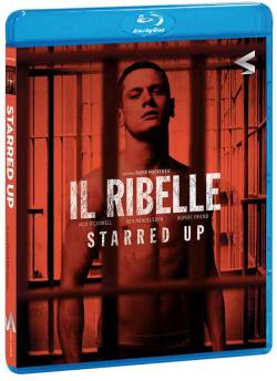 IL RIBELLE - STARRED UP