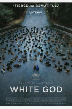 white god