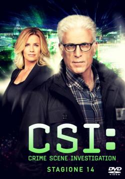 CSI STAGIONE 14