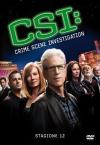 CSI STAGIONE 12