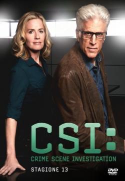 CSI STAGIONE 13