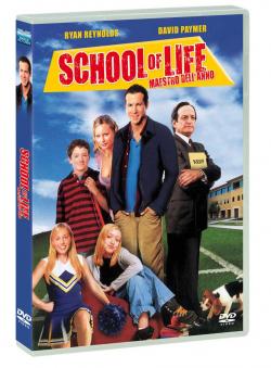 SCHOOL OF LIFE IL MAESTRO DELL'ANNO