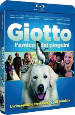 GIOTTO, L'AMICO DEI PINGUINI