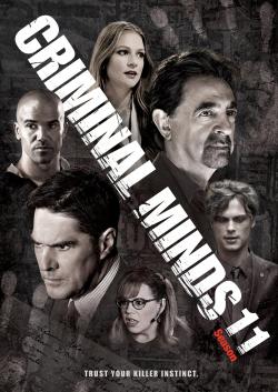 CRIMINAL MINDS stagione 11 (5 DVD)