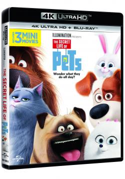 PETS: VITA DA ANIMALI (4K Ultra HD + Blu-Ray) (2 dischi)