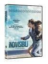 INDIVISIBILI (DS)