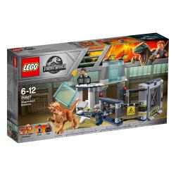 Lego Jurassic World 75927 Inseguimento dello Pteranodone