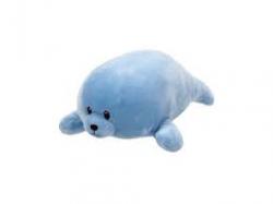 Baby foca