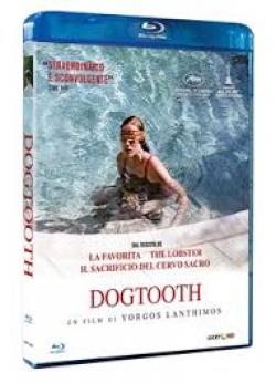 DOGTOOTH (BS)