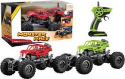 RC AUTO MONSTER RACE