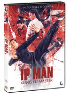 IP MAN - KUNG FU MASTER (DS)