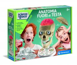 ANATOMIA FUORI DI TESTA