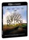 BIG FISH - LE STORIE DI UNA VITA INCREDIBILE 4K + Card da collezione