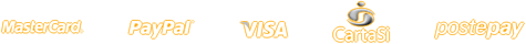MasterCard PayPal Visa CartaSi postepay